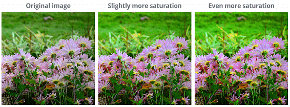 Fixing Common Problems | Image Editing for Beginners - Class 8