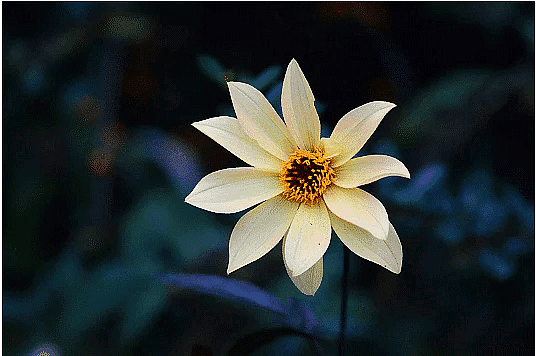 Online photo sharing tips