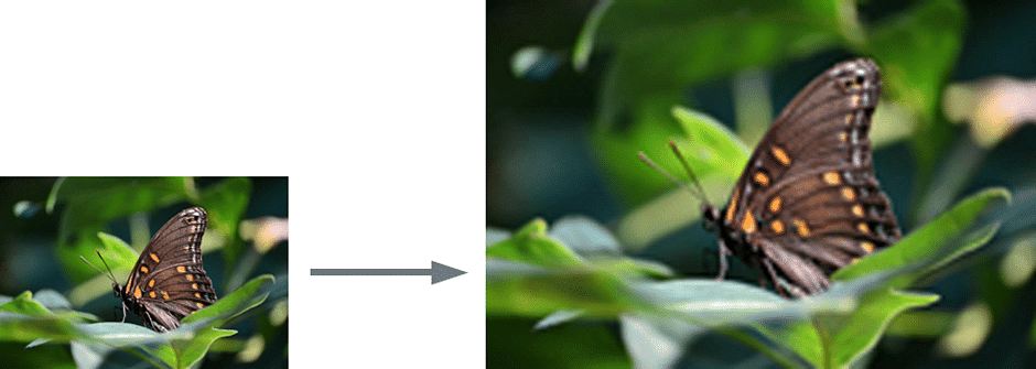 Getting Started with Image Editing | Image Editing for Beginners - Class 8