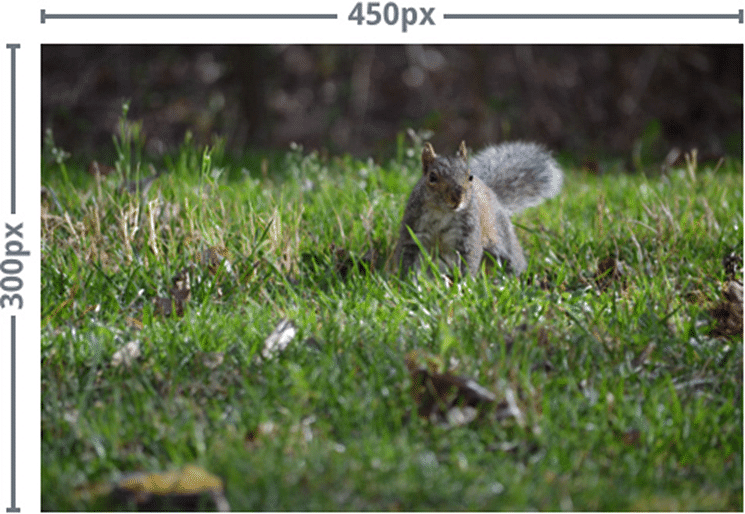 Getting Started with Image Editing | Image Editing for Beginners - Class 8