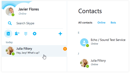 Instant Messaging with Skype | Social Media - Class 8