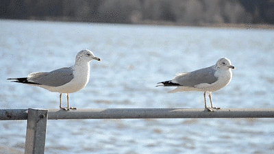 Getting Started with Image Editing | Image Editing for Beginners - Class 8