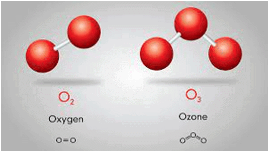 Science | GK Olympiad for Class 8