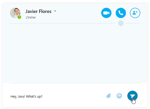 Instant Messaging with Skype | Social Media - Class 8