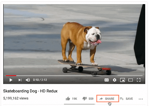 Sharing Videos | Social Media - Class 8