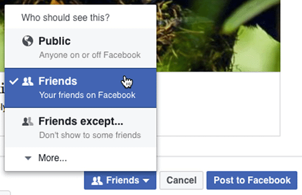 Sharing on Facebook | Social Media - Class 8