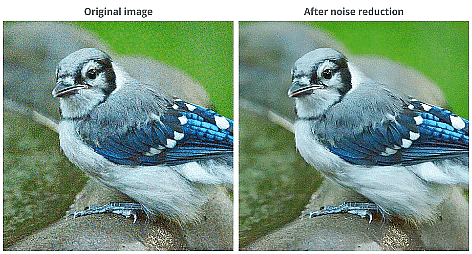 Fixing Common Problems | Image Editing for Beginners - Class 8