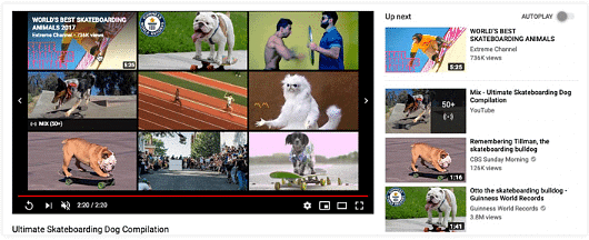 Searching for Videos | Social Media - Class 8