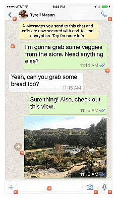 Text Messaging | Social Media - Class 8
