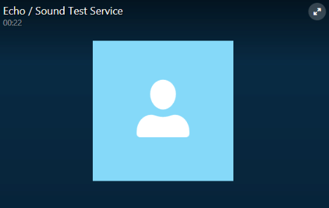 Making Voice Calls with Skype | Social Media - Class 8