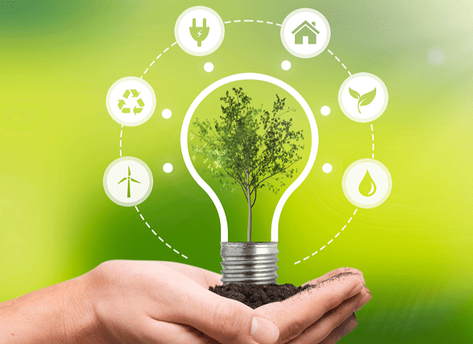 Essay on Importance of Environment | Essays for Class 7
