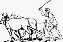 Essay on Indian Farmer | Essays for Class 7