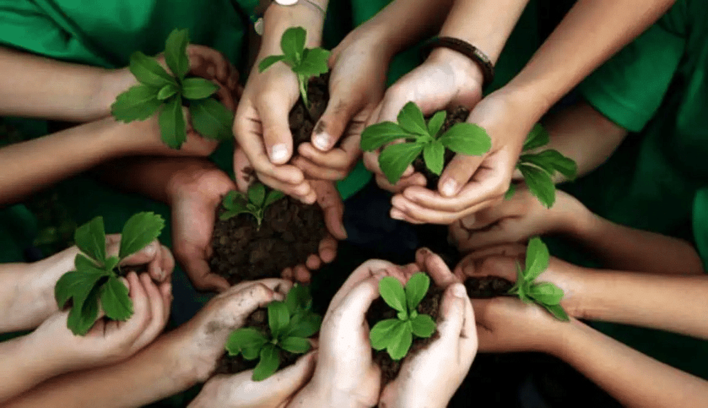 Essay on Importance of Environment | Essays for Class 7