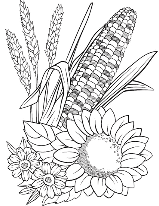 Printable Worksheet: Plants & Animals- 1 | Biology Class 7 ICSE