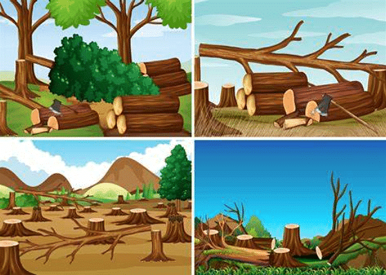 Essay on Deforestation | Essays for Class 7