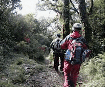 Essay on Hiking | Essays for Class 7