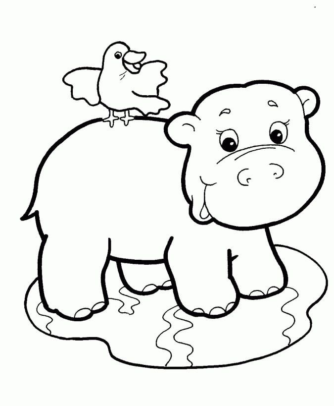 Printable Worksheet: Plants & Animals- 3 | Biology Class 7 ICSE