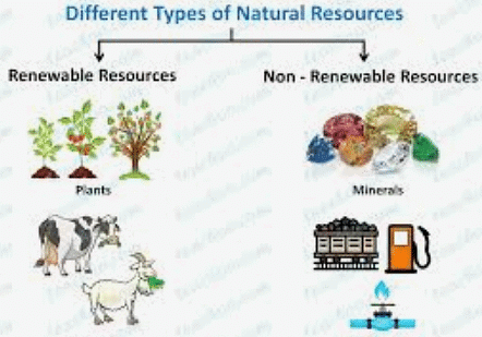 Essay on Natural Resources | Essays for Class 7
