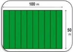 Area and its Boundary Class 6 Worksheet Maths Chapter 11