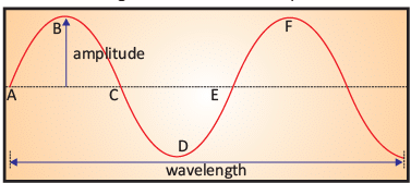 Notes: Science & Technology | GK Olympiad for Class 5