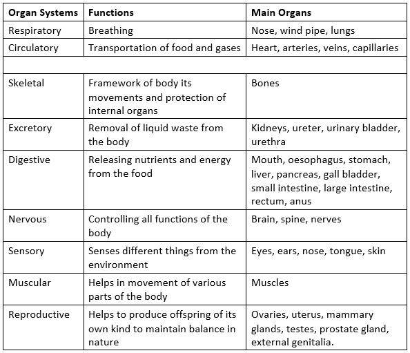 Notes: Our Body & Health | GK Olympiad for Class 5