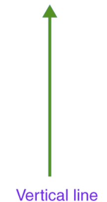 Lines Chapter Notes | Math Olympiad for Class 2