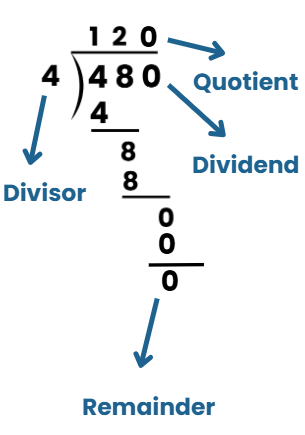 Everyday Mathematics: Computation Operations | Math Olympiad for Class 2