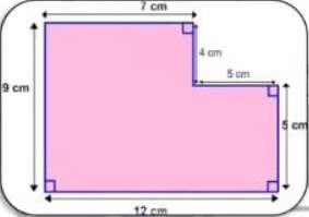 Area and its Boundary Class 6 Worksheet Maths Chapter 11