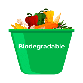 Environmental Vocabulary Chapter Notes | English Olympiad for Class 2