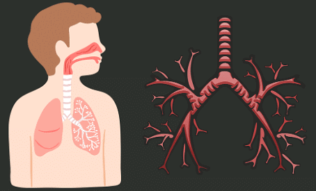 Our Body and Health | GK Olympiad for Class 4