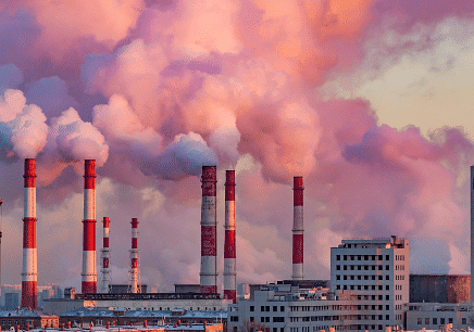 Our Environment | Social Science Olympiad for Class 3