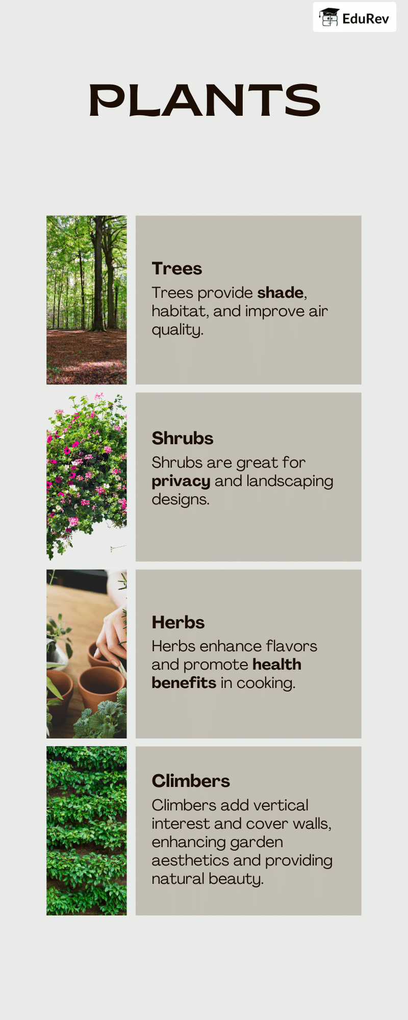 Poster: Plants | EVS for Class 2