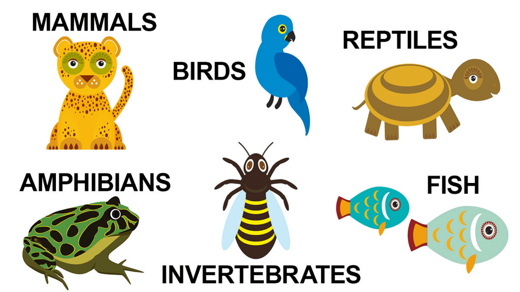 Notes: Plants and Animals | GK Olympiad for Class 3