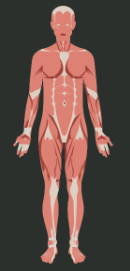 Our Body and Health | GK Olympiad for Class 4