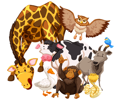 Plants and Animals | GK Olympiad for Class 4