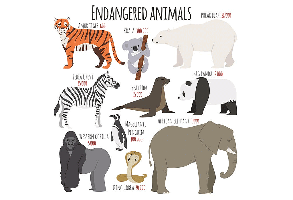 Notes: Plants and Animals | GK Olympiad for Class 3