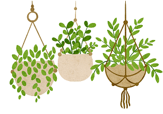 Plants and Animals | GK Olympiad for Class 4