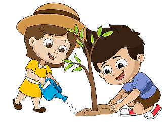 Solved Essay: Save Trees