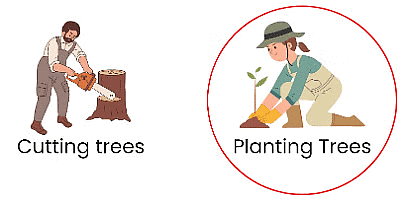 Worksheet Solutions: Sustainable Development | Value Education - Class 3