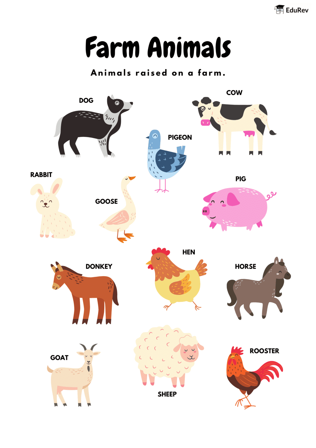 Poster: Farm Animals | EVS for Class 2