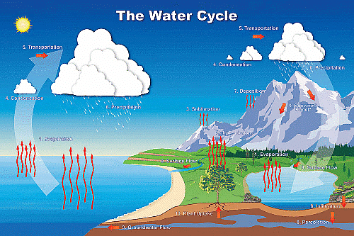 Our Environment | Social Science Olympiad for Class 3