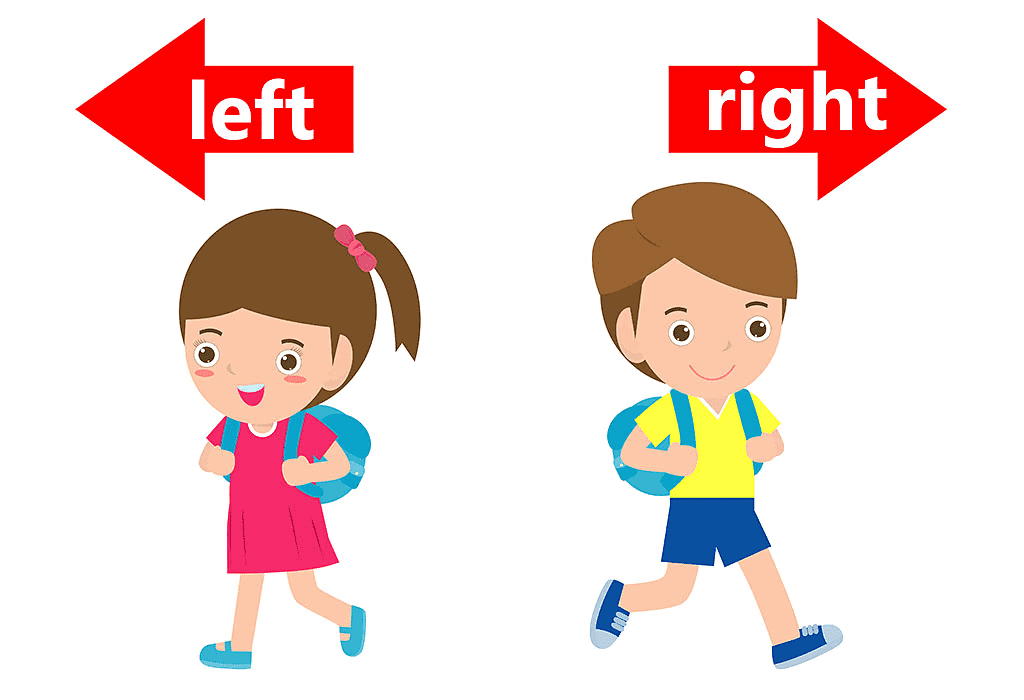 Short Answer Questions: Understanding Directions | EVS for Class 2
