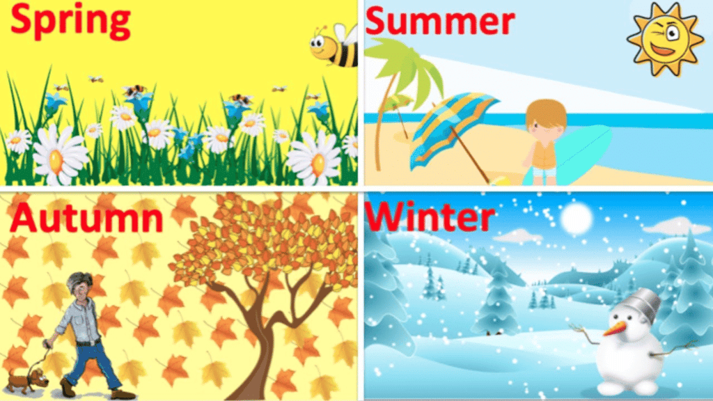 Short Answer Questions: World Around Me | EVS for Class 2