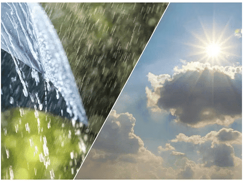 Short Answer Questions: World Around Me | EVS for Class 2