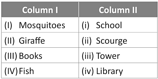Achievers Section: Language and Literature | GK Olympiad for Class 3