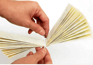 Craft Ideas: Asian Folding Fan | Drawing (Art & Craft) - Grade 2