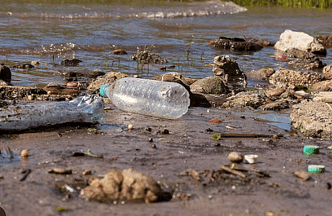Our Environment | Social Science Olympiad for Class 3