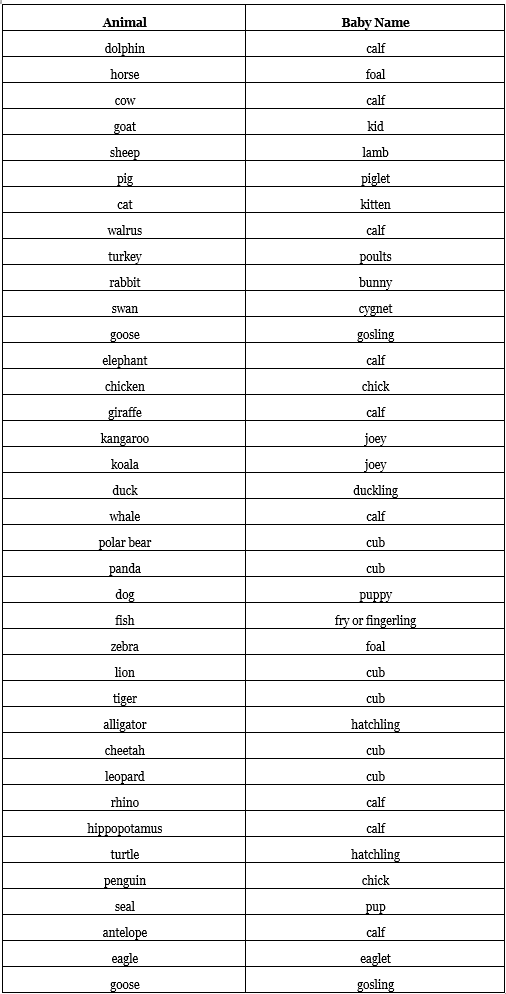 Word Power | English Olympiad for Class 3