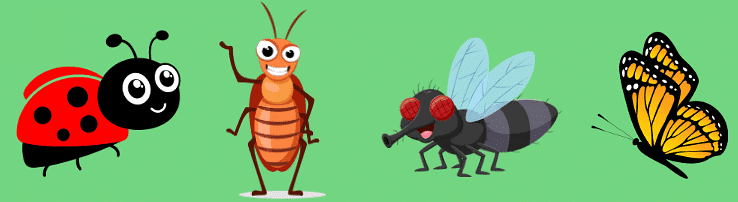 Short Answer Questions: Animals | EVS for Class 2