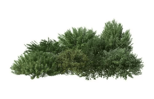 Short Answer Questions: Plants | EVS for Class 2